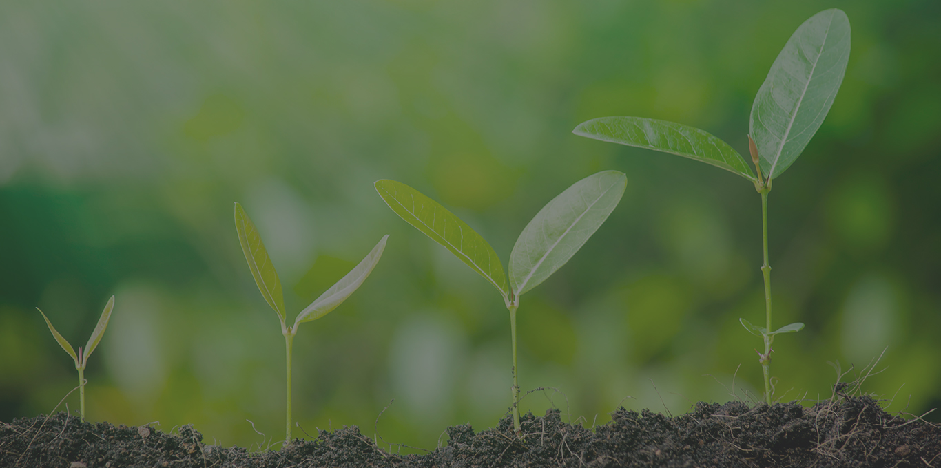 Image for Episode 026 — The Digital Broker Podcast
How Should Your Agency Grow – Organically or Through Acquisition?